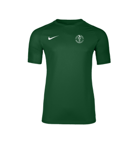 Nike Academy II Trikot Grün F302