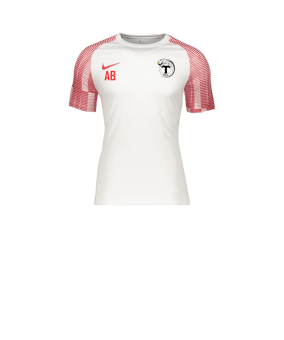 Nike Academy Trikot Kids Weiss Rot F100
