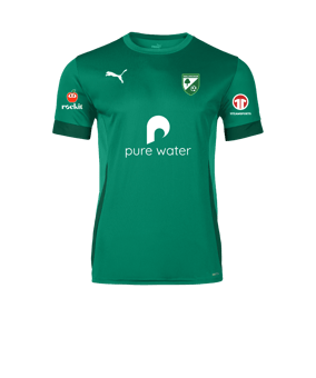 PUMA teamGOAL Matchday Trikot Grün Weiss F05