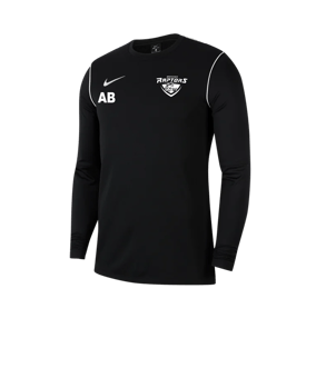 Nike Park 20 Training Sweatshirt Schwarz F010 