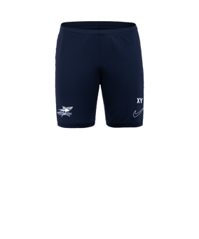 Nike Academy 25 Short Blau F410