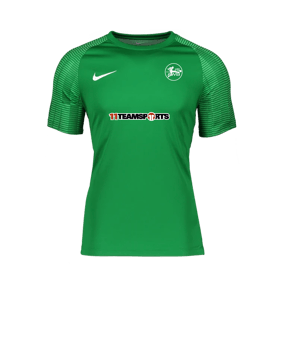 Nike Academy Trikot Grün Weiss F302