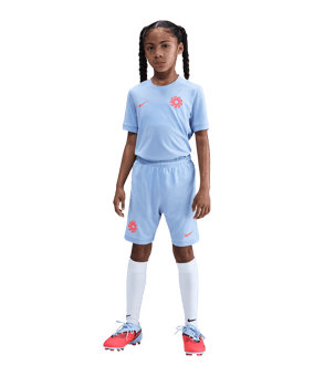 Nike Academy 25 Trikot Kids Blau F425 - blau
