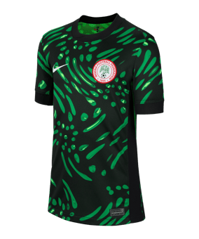 Nike Nigeria Shirt Grijs K010 - grijs