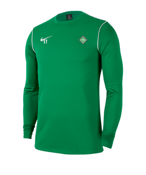 Nike Park 20 Sweatshirt Kids Grün F302