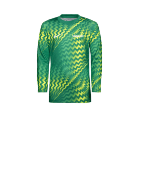 Nike Gardien VI Torwarttrikot Langarm Kids Grün F324