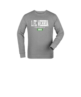 Merch Mini Changer 2.0 Sweatshirt Kids Heather Grey FC250