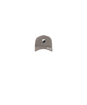 Merch 5 Panel Curved Snapback Cap Grey