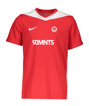 Nike Park Derby IV Trikot Kids Rot F657