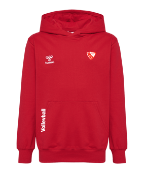 Hummel GO 2.0 Hoody Kids Rot F3062