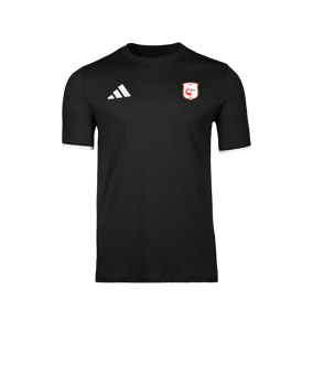 adidas Entrada 26 T-Shirt Noir 