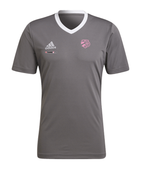 adidas Entrada 22 Trikot Grau Weiss