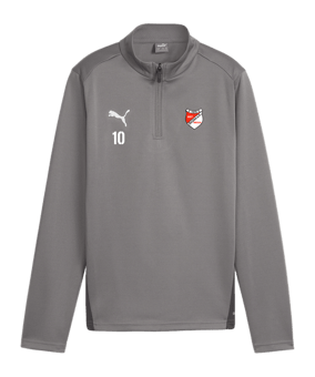 PUMA teamGOAL Training 1/4 Zip Sweatshirt Kids  Grau F13