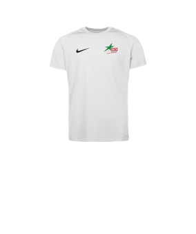 Nike Park VIII Maillot Enfants Blanc C100