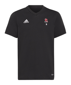 T-shirt enfants adidas Entrada 22 noir 
