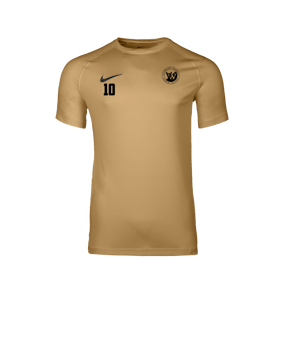 Nike Park VIII Trikot Gold F729