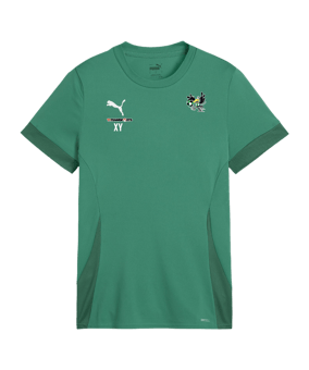 PUMA teamGOAL Matchday Trikot Kids Grün Weiss F05