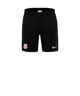 Nike Park III Pantalones cortos negro C010 