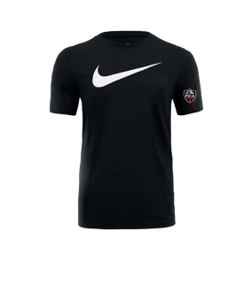 Nike T-Shirt Noir C010 