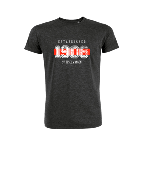 Merch Creator 2.0 T-Shirt Dark Heather Grey | #established