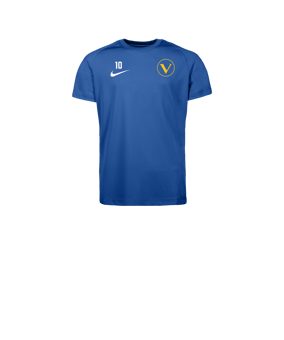 Nike Park VIII Trikot Kids Blau F463
