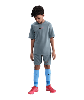 Nike Academy 25 Trikot Kids Grau F065 - grau