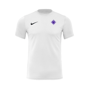 Nike Park VII Trikot kurzarm Weiss F100