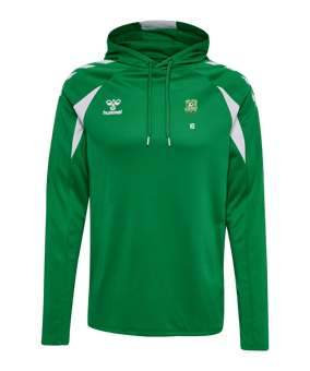 hummel Core 2.0 Sweatshirt à capuche Vert C6129 