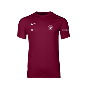 Nike Park VIII Trikot Rot F677