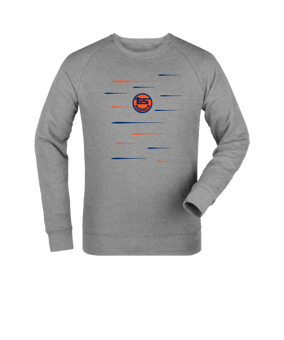 Merch Roller Sweatshirt Heather Grey | #lines