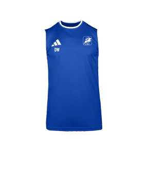 adidas Entrada 26 Trikot Blau