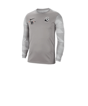 Nike Park IV TW-Trikot langarm Kids Grau F052
