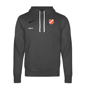 Nike Park 26 Hoody Grau F063
