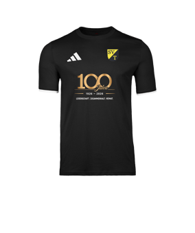 adidas Entrada 26 T-Shirt Schwarz
