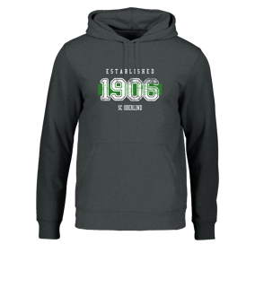 Merch Drummer 2.0 Hoody Dark Heather Grey FC651