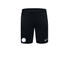 Nike Park 20 Knit Short Schwarz Weiss F010