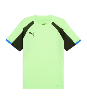 PUMA IndividualLiga Trikot Grün F02 - gruen