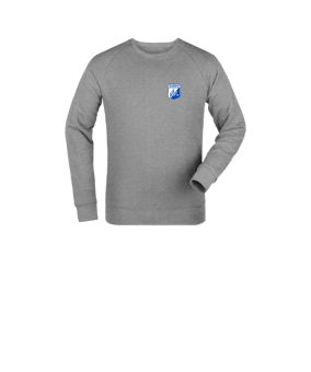 Merch Mini Changer 2.0 Sweatshirt Kids Heather Grey | #logo4c