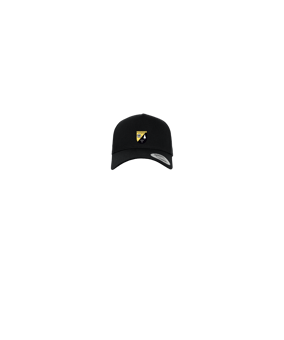 Merch 5 Panel Curved Snapback Cap Schwarz