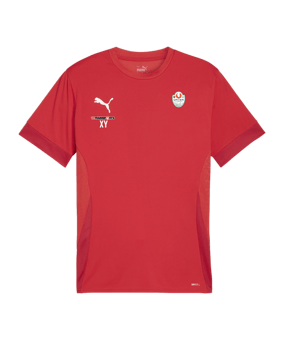 PUMA teamGOAL Matchday Trikot Rot Weiss F01