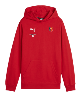 PUMA teamGOAL Casuals Hoody Kids Rot F01