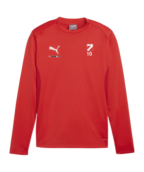 PUMA teamGOAL Training Sweatshirt Rot F01
