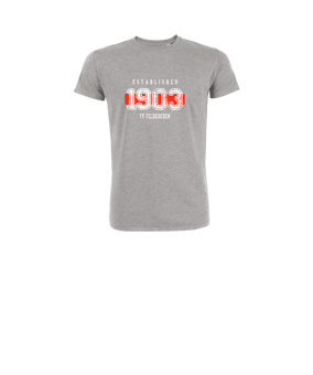 Merch Mini Creator 2.0 T-Shirt Kids Heather Grey | #established