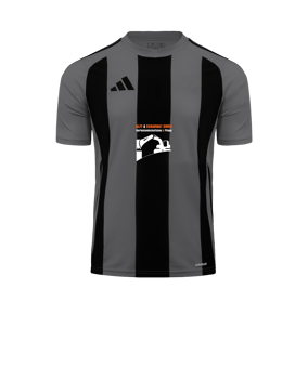 adidas Striped 24 Trikot Grau Schwarz
