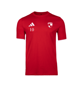 adidas Entrada 26 T-Shirt Rot