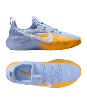 Nike LeBron TR 1 Grau F401 - blau