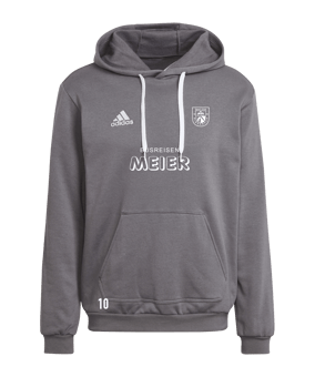 adidas Entrada 22 Hoody Grau