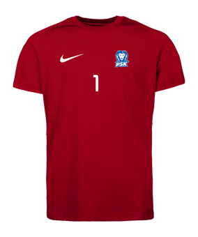 Nike Park VIII Trikot Kids Rot F657