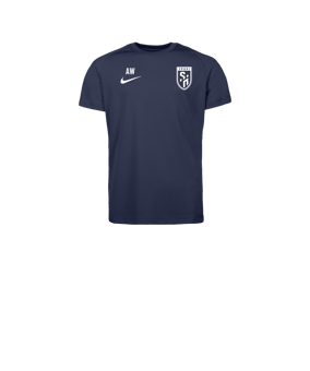 Nike Park VIII Trikot Kids Blau F410