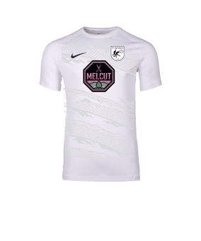 Nike Park VIII Trikot Weiß F100